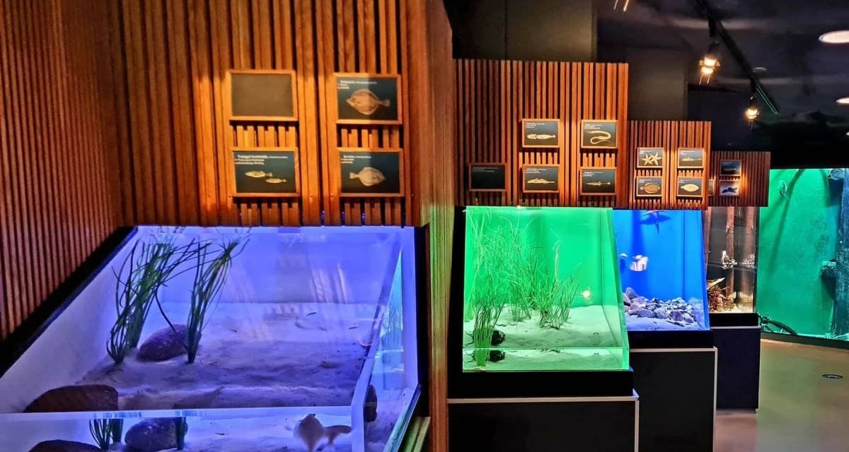 Nyt og bæredygtigt lys til Fiskeri- og Søfartsmuseets akvarier!