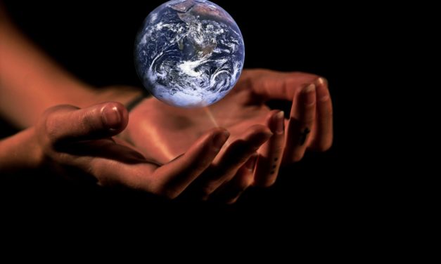 Forbrugerne råber på politisk hjælp til klimavenlige valg!