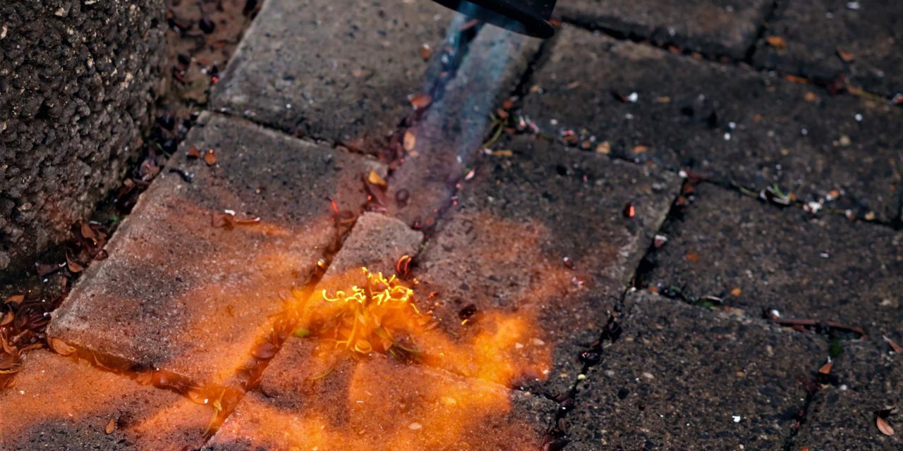 900 sigtelser årligt: Højsæson for farlige uheld med ukrudtsbrændere