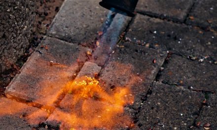 900 sigtelser årligt: Højsæson for farlige uheld med ukrudtsbrændere